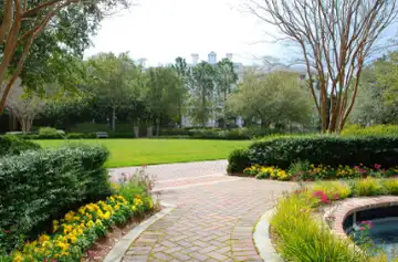 Walking Track